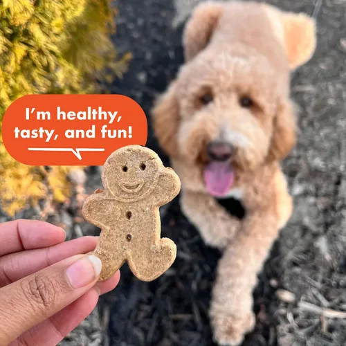 Vista 4 de Buddy Biscuits Grain Free Dog Treats, al horno en los EE. UU., Trate de gran tamaño con mantequilla de maní natural 14 oz Sin granos, golosinas