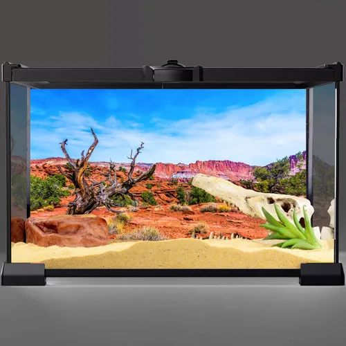 Vista 2 de AWERT 24x12 pulgadas Reptil Hábitat Fondo Cielo Azul Oasis Naranja Desierto Terrario Fondo