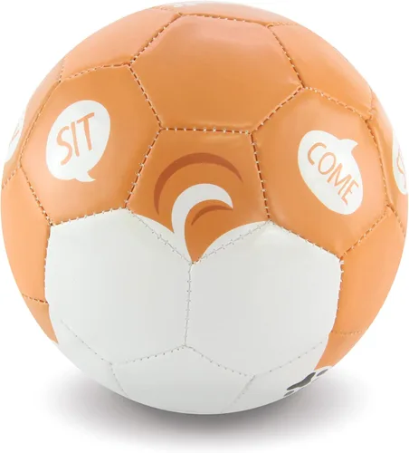 Vista 2 de Daball Pelota de fútbol para niños y niños pequeños - Talla 1, bomba y caja de regalo incluidas