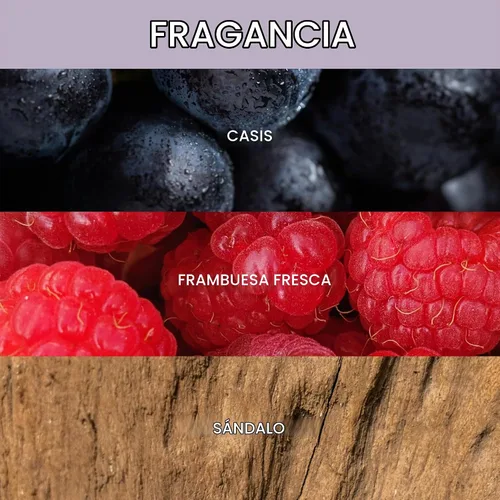 Vista 5 de ALURAM Champú morado de agua de coco para mujeres, aumenta el brillo, elimina el latón, para todo tipo de cabello