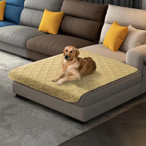 Vista 48 de Manta impermeable para perro, 30 x 30 pulgadas, fundas de sofá para mascotas pequeñas para sofá, silla, cama, protector de muebles de perros