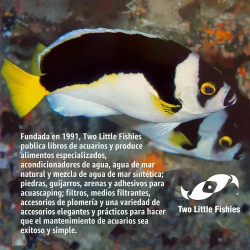 Vista 7 de Two Little Fishies Julian Sprung's SeaVeggies - Hojas de algas verdes, 1 onza
