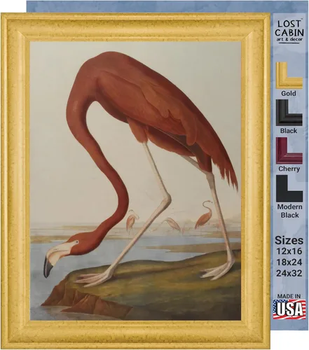 Vista 18 de Lost Cabin American Flamingo por James Audubon Impresión en marco biselado negro Reproducción de pintura de obras de arte finas Póster