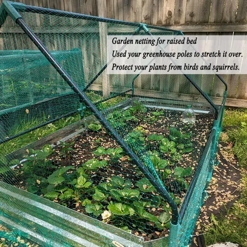 Vista 3 de Red para pájaros para jardín de 6.5 x 50 pies, malla de 1/4 de pulgada, protege arándanos, fresas, tomates, verduras. Red de árboles frutales