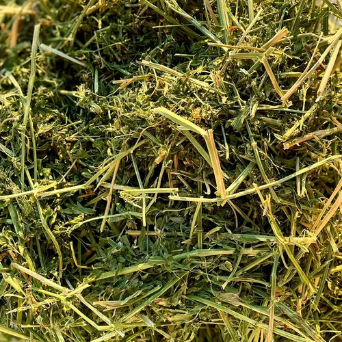 Vista 2 de Blue Mountain Hay Heno de alfalfa orgánica de alta altitud (5 libras), fibra de alta proteína y rico en minerales, textura frondosa suave con alta