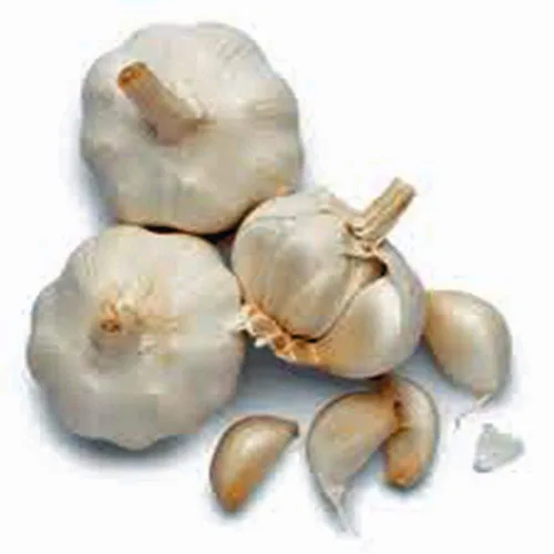 Vista 2 de Bulbo de ajo (paquete de 8), bombilla de ajo fresca de California SOFTNECK para plantar y cultivar tu propio ajo