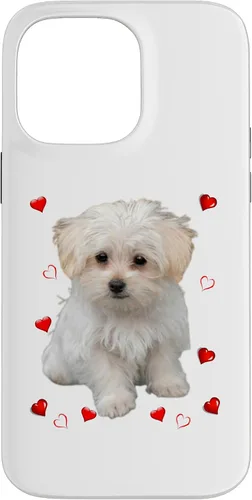 Vista 20 de Funda para iPhone 11 Maltipoo Mix Fans para amantes de los perros maltés