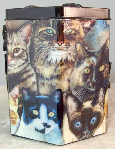 Vista 6 de Decorative Tzedakah Box - Los Gatos
