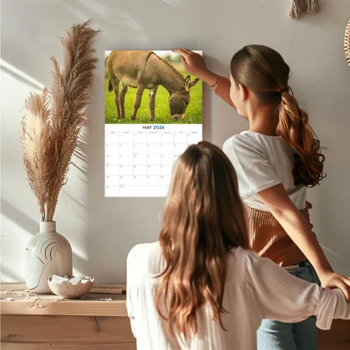 Vista 370 de Calendario de grises africanos 2025 2026 – Planificador mensual de pared de aves africanas – 12 x 18 pulgadas (abierto), calendario de pared