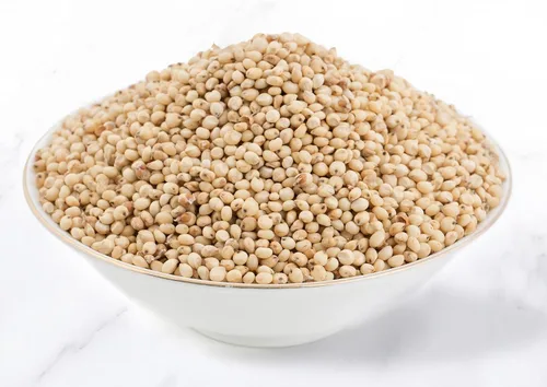 Vista 5 de Food to Live Sorgo de grano entero orgánico sin gluten, 1 libra - Granos blancos sin transgénicos. Semillas milo. Vegano, Escoba de maíz a granel.