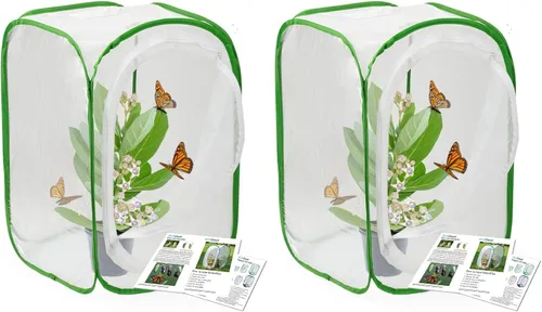 Vista 7 de RESTCLOUD Jaula de hábitat para insectos y mariposas con protección de cremallera, 12 x 12 x 12 pulgadas