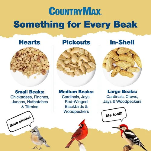 Vista 4 de CountryMax Cacahuetes enteros sin cáscara de 10 libras para pájaros