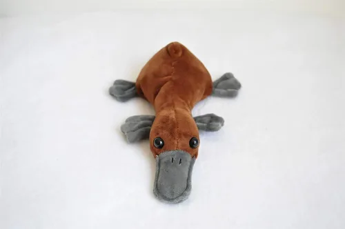 Vista 3 de TAMMYFLYFLY Almohada de felpa suave de ornitorrinco realista de 8.6 pulgadas, Kawaii para niñas y niños, juguetes de animales de peluche con pico