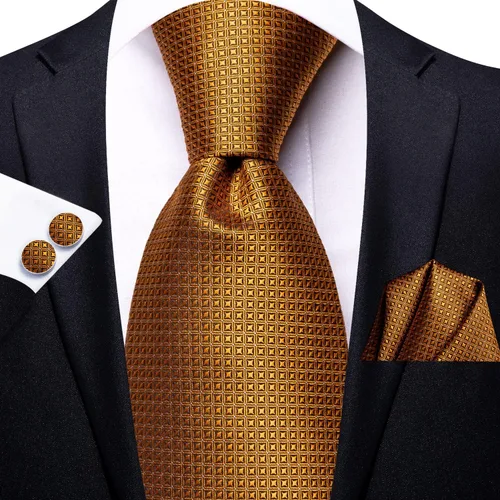 Vista 248 de Hi-Tie Corbata clásica de cachemira para hombre con pañuelo y gemelos a cuadros