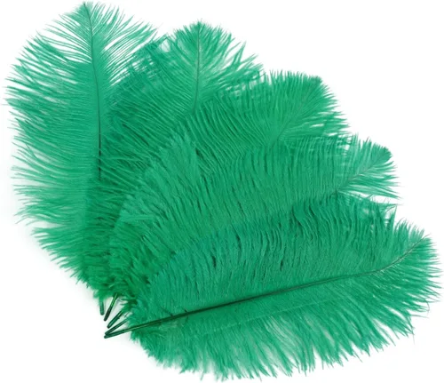 Vista 11 de Shekyeon - Plumas de avestruz (20 unidades, 7.9-9.8 in, 20 unidades)