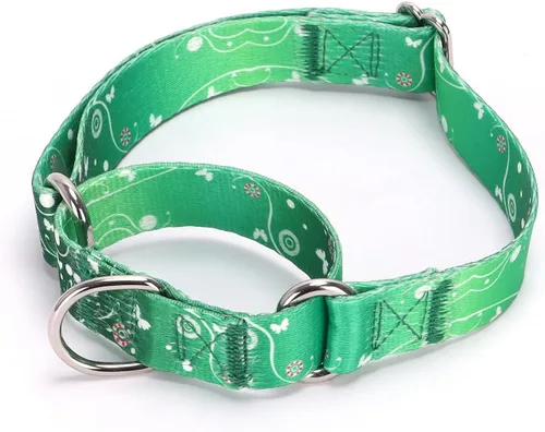Vista 30 de Collar de perro de nailon resistente, collar ajustable de martingala para perros para caminar y entrenamiento para perros machos y hembras perros