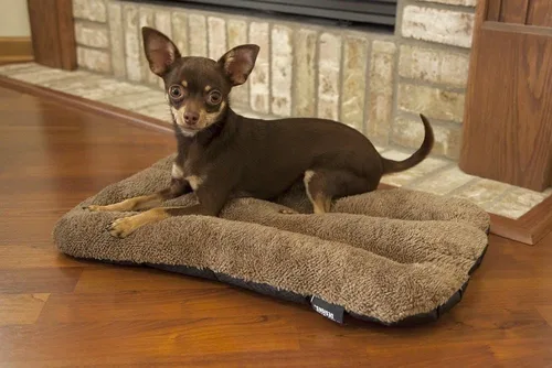 Vista 2 de SportPet Designs - Cama impermeable para mascotas, se adapta a la perrera de plástico SportPet para perros, 20 pulgadas