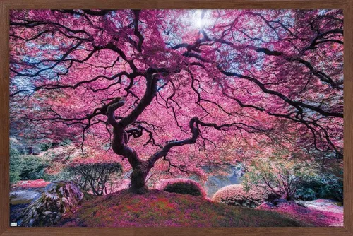 Vista 10 de Trends International Póster de pared Pink Tree 2 de Moises Levy, 22.4 pulgadas de largo x 14.7 pulgadas, versión enmarcada en madera de granero