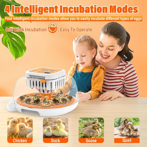 Vista 5 de 36 incubadoras de codorniz para incubar huevos, incubadora de huevos de codorniz con giro automático de huevos y control de humedad, control
