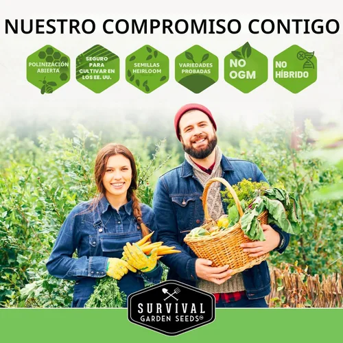 Vista 8 de Semillas de verduras para jardín del hogar, paquete de 30 variedades – Kit de caja de semillas reliquias para plantar verduras, hierbas y frutas