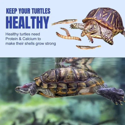 Vista 3 de Amzey Paquete de 2 alimentos para tortugas acuáticas, vitaminas, golosinas enriquecidas de congelación, gusanos de harina secos, camarones de río