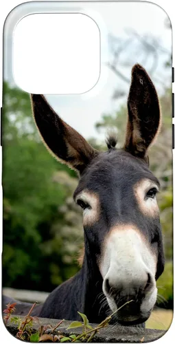 Vista 20 de Funda Donkey para iPhone 17