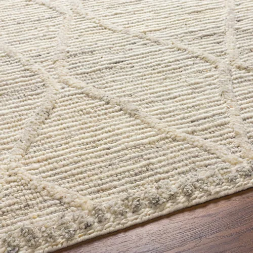 Vista 6 de Surya Manisa MNS-2307 Alfombra texturizada tejida a mano, 2 x 3 pies, crema/negro