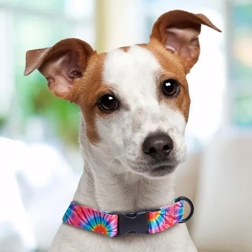 Vista 5 de Tie Dye Dog Collar Personalized (X-Small 5/8")