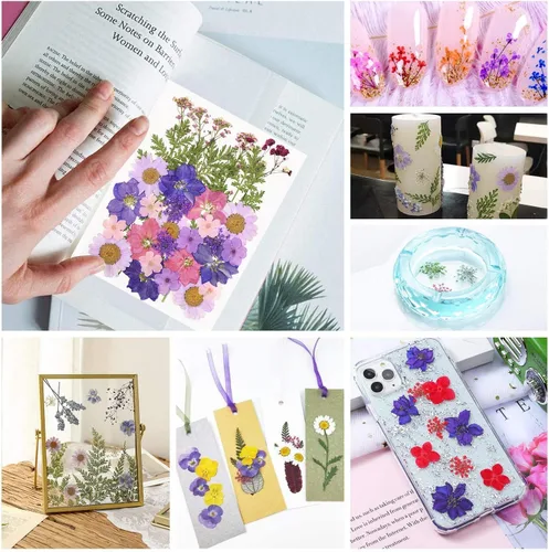 Vista 5 de Tovip 71 piezas de flores y hojas secas prensadas reales, mezcla de flores secas naturales prensadas, flores secas naturales preservadas