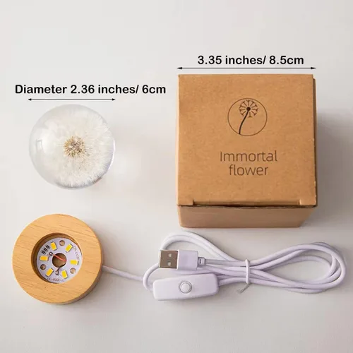 Vista 6 de DESHINTKE Pisapapeles de flor eterna de diente de león real con base luminosa