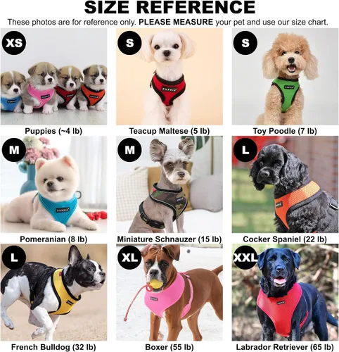 Vista 5 de Puppia Arnés suave para perro, sin estrangulamiento, sobre la cabeza, malla transpirable de triple capa, cinturón ajustable en el pecho y hebilla