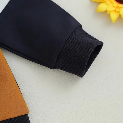 Vista 3 de Ayalinggo Conjunto de sudadera con cuello redondo y bloques de color para bebé y niño pequeño