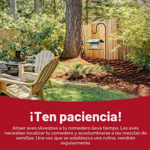 Vista 12 de Kaytee Wild Bird Mezcla de Alimento para Pinzones, 3 lb