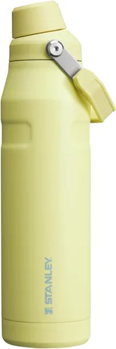 Vista 71 de STANLEY IceFlow Botella de agua de flujo rápido de 24 onzas Tapa con boquilla inclinada Ligera y a prueba de fugas para viajes y deportes Polar
