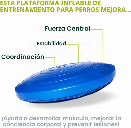 Vista 3 de FitPAWS® Disco de equilibrio para perros Equipo de ejercicio para perros Herramienta de entrenamiento para fuerza, núcleo, estabilidad y Azul