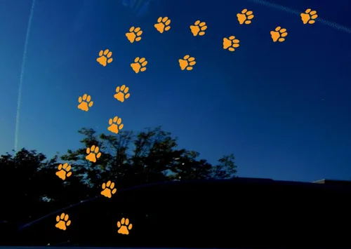 Vista 2 de Calcomanía de vinilo con estampado de huellas de gato para automóvil, ventana, portátil, taza, 18 unidades, tamaño real de la huella de gato