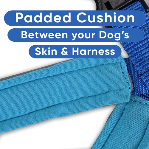 Vista 4 de Arnés para perro Pawtitas para entrenamiento de suave, ajustable, reflectante, acolchado para cachorros, Azul