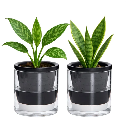 Vista 8 de D'vine Dev Maceta de Diseño de Riego Automático de 4 Pulgadas para Plantas de Interior, Maceta de Terracota Azul con Vaso Cilíndrico de Vidrio