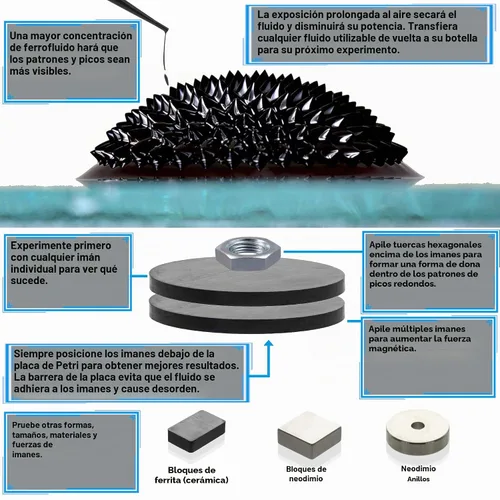 Vista 4 de CMS MAGNETICS - (Kit de 2 onzas) Kit de experimento científico de ferrofluido para educación en magnetismo - Incluye: botella de 2 onzas líquidas