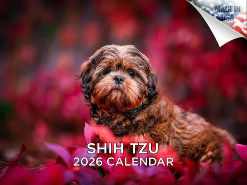Vista 60 de Calendario de Lebrel Afgano 2025 2026, calendario mensual de pared de raza canina, 12" x 18" abierto, papel grueso sin traspaso, ideal para regalo