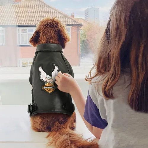 Vista 6 de Abrigo de invierno cálido para perros pequeños y medianos, chaqueta impermeable y resistente al viento para cachorros, ropa de cuero para mascotas