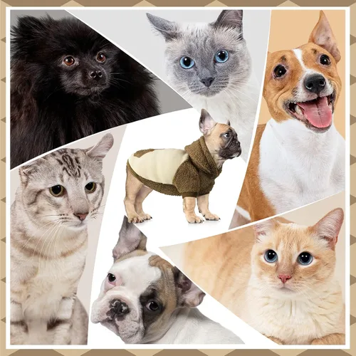Vista 3 de Ropa mullida para perros pequeños, con capucha, abrigo térmico, ropa para cachorros, machos, hembras, chaqueta para perro, traje de suéter (S)