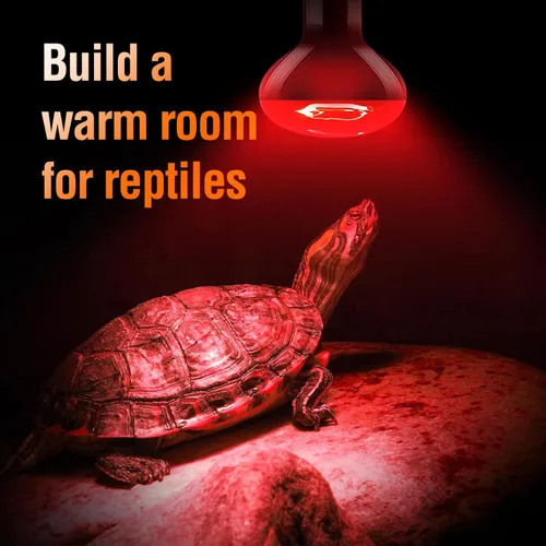 Vista 5 de Leoterra Bombilla de calor nocturno de reptiles de 50 W, lámpara de calor nocturna infrarroja roja de 10-20 galones, uso de terrario de vidrio