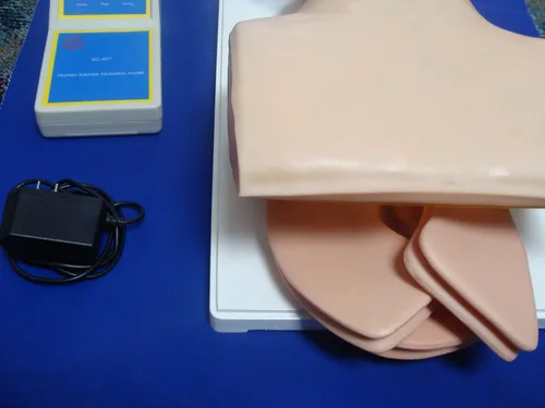 Vista 2 de Modelo médico profesional IT-075 del humano de la tráquea de la boca de la anatomía nuevo ANGELUS