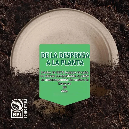 Vista 6 de Platos de Papel Hondos, Platos de Cena Desechables Resistentes [Paquete de 125] Platos de 9 Pulgadas - 100% Compostables Ecológicos, Bagazo de Caña