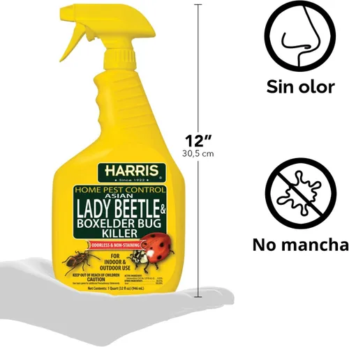 Vista 2 de Harris Asian Lady Beetle and Box Elder Killer, spray líquido con fórmula residual extendida sin olor y sin manchas (32 onzas)