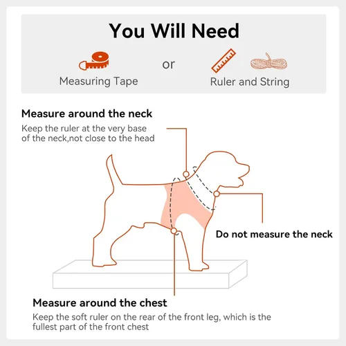 Vista 54 de Joytale Arnés para Perros Pequeños, Chaleco de Malla Transpirable Step-in, Arneses Acolchados Suaves Reflectantes para Gatos y Perros Cachorros