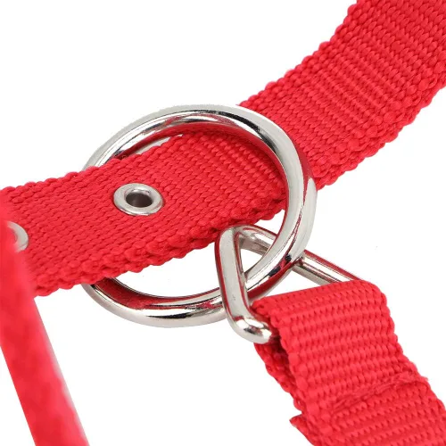 Vista 5 de Cabestro ajustable para caballo, cabestro de cuero para caballos, cabestro de cuero para caballos Halter, control de caballo, caballo, correa