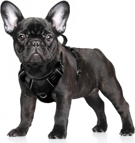 Vista 83 de BARKBAY Arnés para Perro Sin Tirones Talla Grande Arnés Reflectante para Perro con Clip Frontal y Asa de Control Fácil para Caminar Entrenar Correr