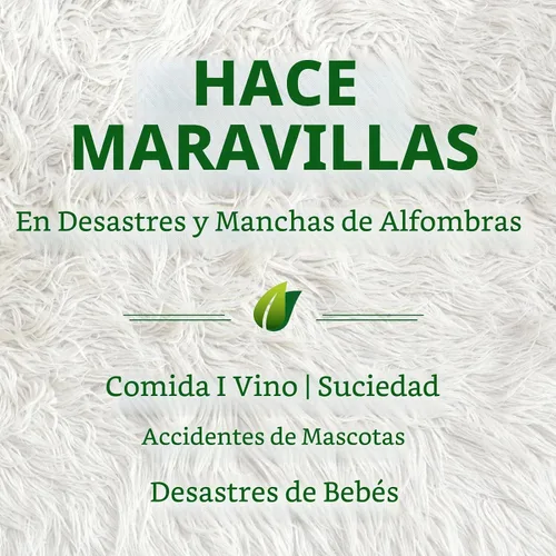Vista 3 de Biokleen Limpiador enzimático Bac Out, eliminador de manchas y olores